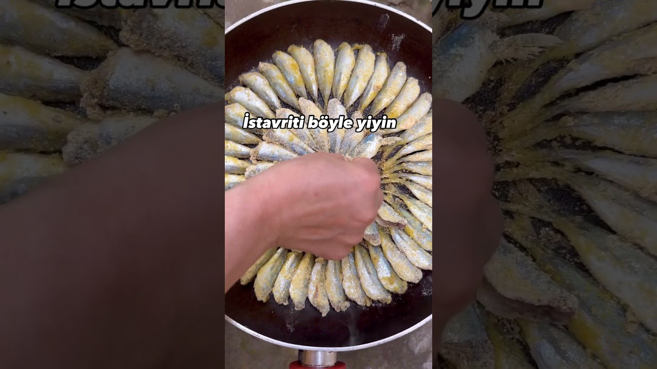 İstavrit tarifi #istavrit #hamsi #balık #pratiktarifler #yemektarifleri #yemek #food #tarif #recipe İstavrit tarifi #istavrit #hamsi #balık #pratiktarifler #yemektarifleri #yemek #food #tarif #recipe