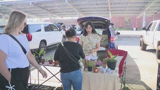 Fort Smith 'flips the switch' with new solar farmers market canopy