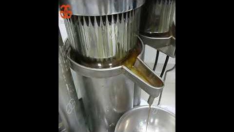 stainless steel cocoa oil press machine|cacao oil extracting machine