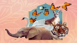 Celebrity WHICH WILD ANIMAL ARE YOU ACCORDING TO YOUR ZODIAC SIGN Wealth