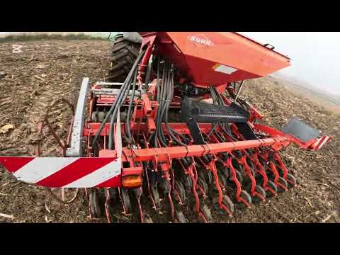 No-till wheat after corn