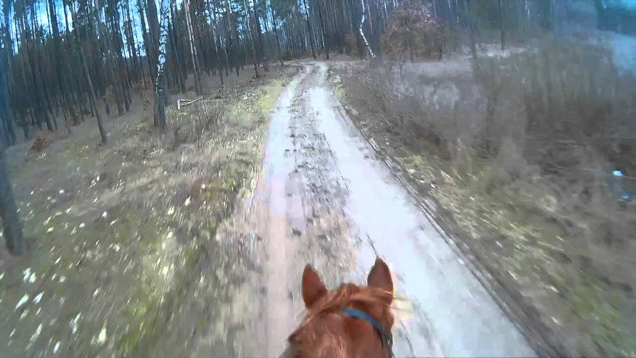 Z perspektywy jeźdźca