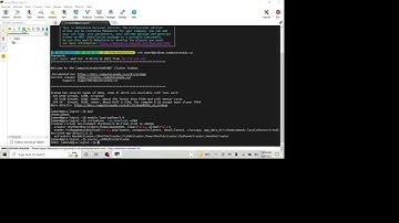 How to Run Machine or Deep Learning Models on Compute Canada Server