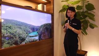 Panasonic -Future of Living, TV transparent LCD