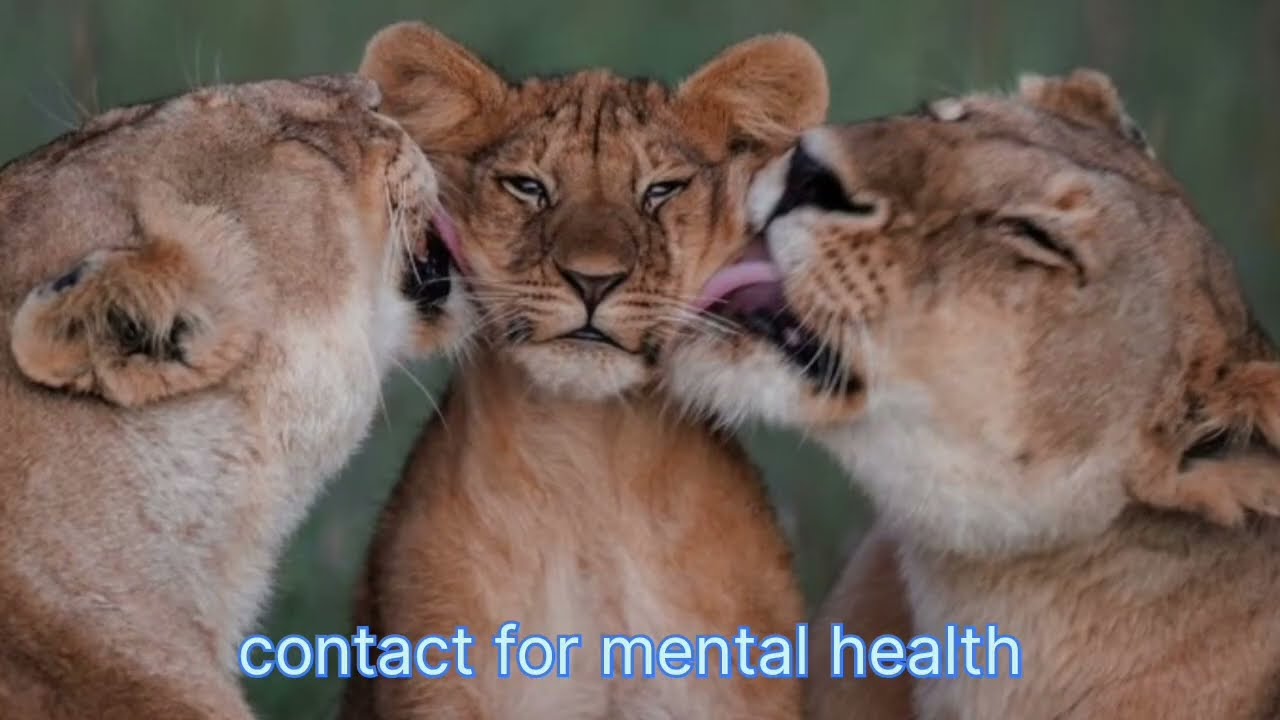 Mobile ke nashe (addiction) se bachche ko bachane ka Simple formula 