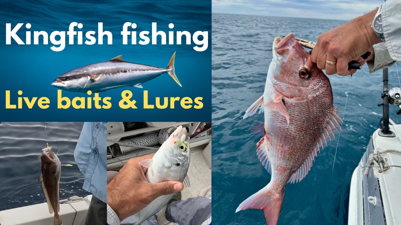 A Day Fishing for Kingfish at Cape Jervis