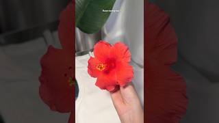Flower dyeing top✨#trending #trendingshorts #shorts #ytshorts #viral #viralvideo #video #yt #trend