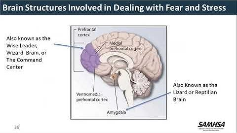 GAINS Webinar: Self-Care for CJ Professionals SIM: Intercepts 0-2