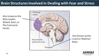 GAINS Webinar: Self-Care for CJ Professionals SIM: Intercepts 0-2