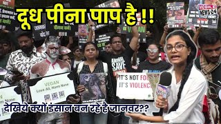 दूध पीना पाप है !! देखिये क्यों इंसान बन रहे है जानवर,What Is Veganism,Vegans Protest | MobileNews24 screenshot 1