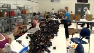OCAAC Creating Jobs