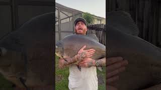 I caught a GIGANTIC Piranha In South Florida!!!
