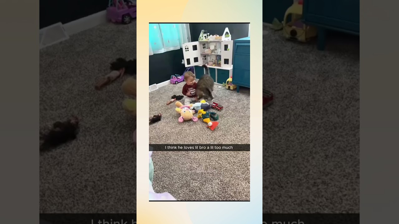 Feline antics all the way! 😂