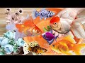 Collect beautiful colorful fish, Eel, frog, lobster, koi, snake, turtle, betta, Crab, fish,