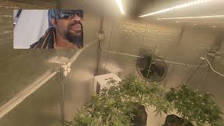 week 3 update