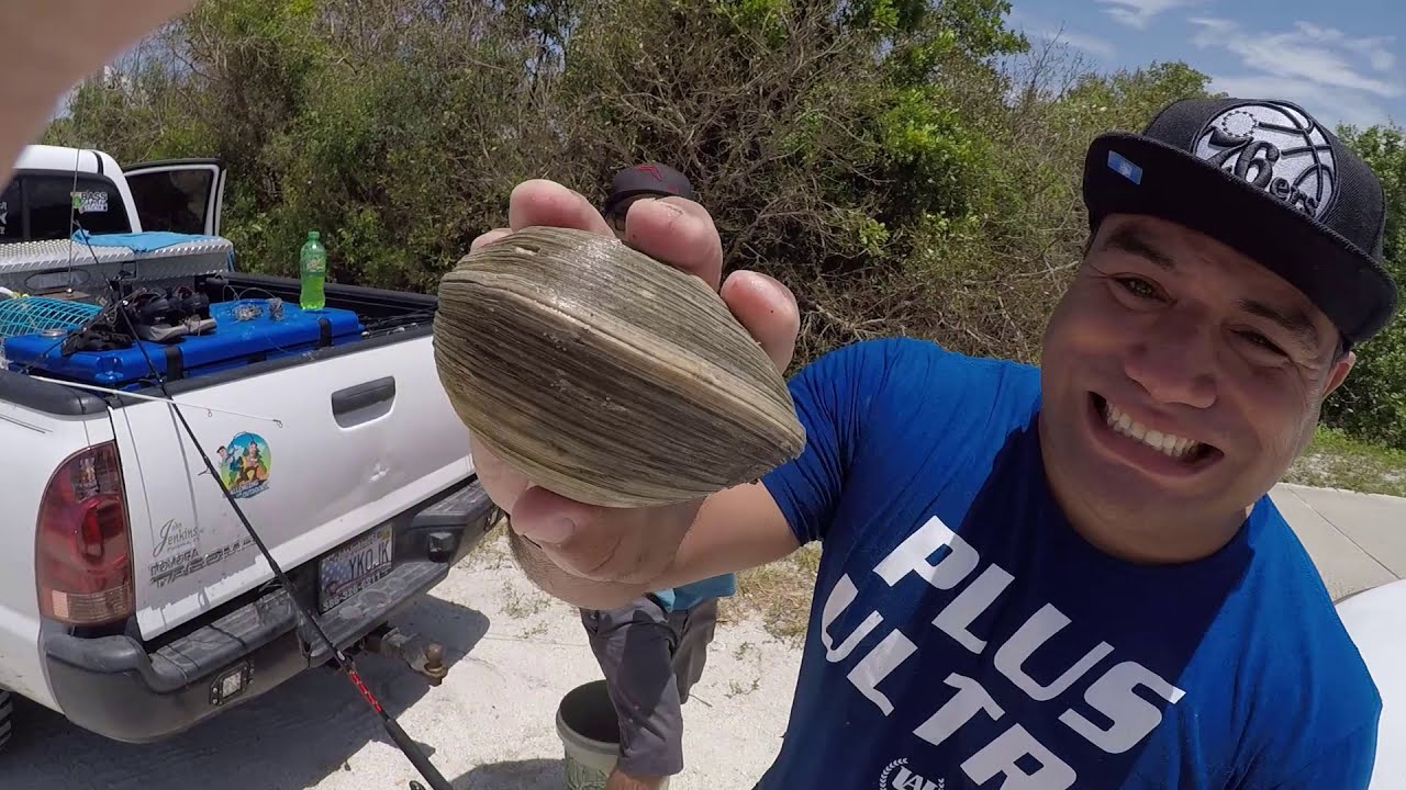 Foraging for MASSIVE Quahog Clams Clam Pot Pie YouTube