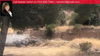 3024 Old Pioneer Rd video tour