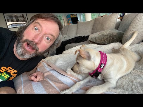 Update on Van Trip