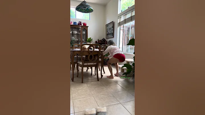 Watch the video about When your cats play hide and seek😻🙀😼#catlovers #cute #funnyanimals #petlovers #Main coon