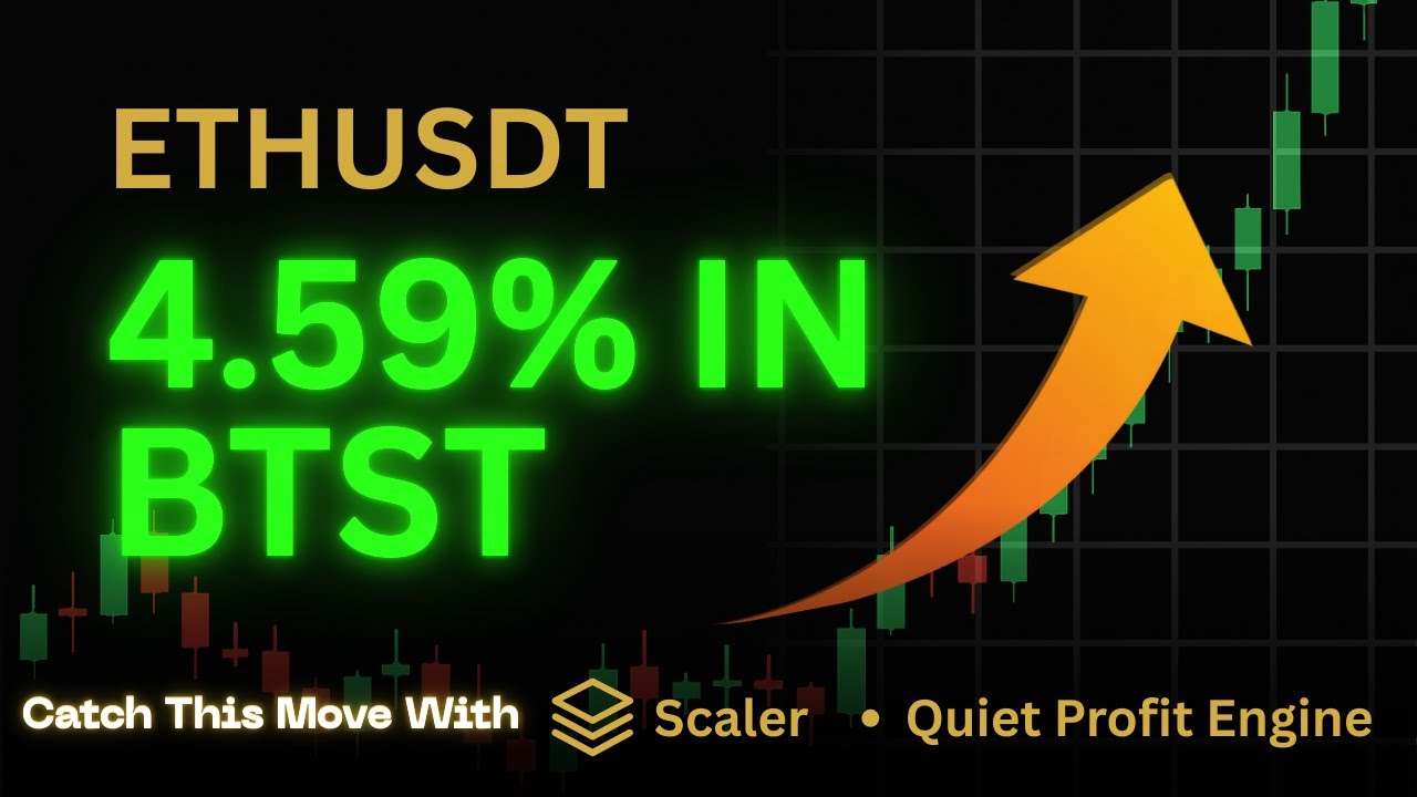 The TradingView Indicator You Need For Crypto Success