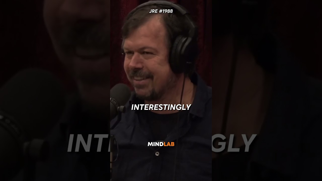 Chimps Use Spears & Tools To Hunt🤯 - Joe Rogan