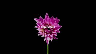 Fetch in 60 seconds – Mobile Marketing Agency