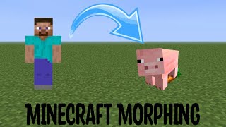Command Block Creations: Part 1 (Morph Mod) Minecraft Bedrock 1.18.30