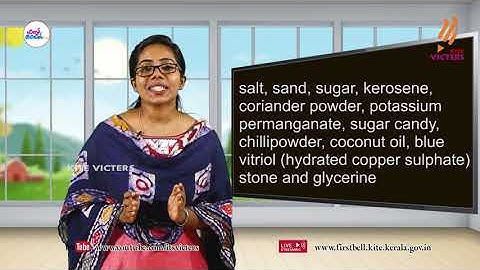 First Bell 2.0 STD 05 Basic Science - English Medium Class 02