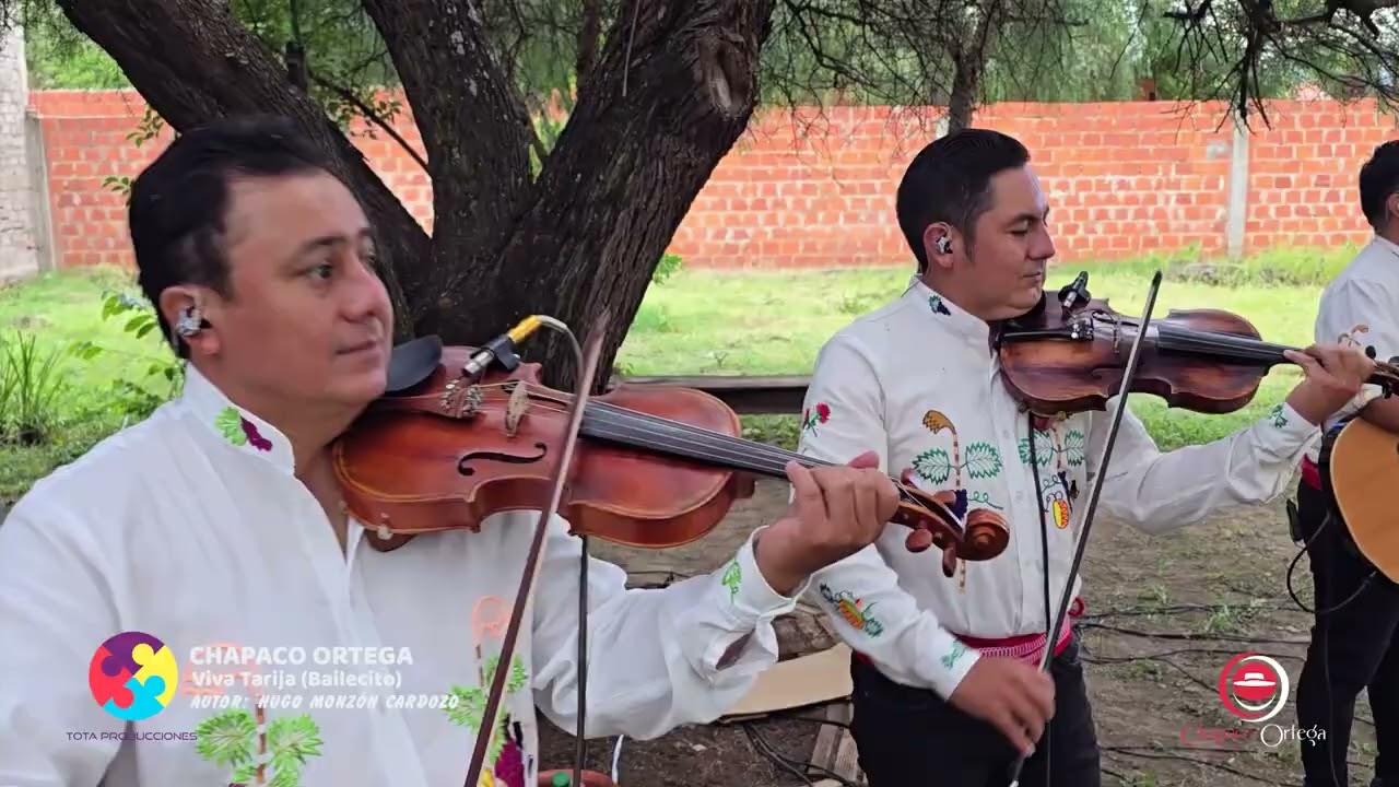 Chapaco Ortega - Selección de Bailecitos