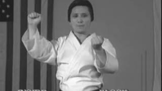 Taekwondo Basic Blocks and Attacks Profile