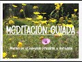 MEDITACION GUIADA 🙏🏻 MANTEN EN EL AQUÍ Y AHORA ❤ MEDITA GRATITUD