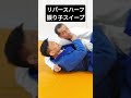 【柔術】リバースハーフガード　振り子スイープ