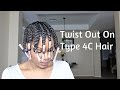 Fail or Nah?? | Flat Twist Out On Type 4 Hair | TwinGodesses