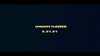 Celebrity Mat Kearney - January Flower (Album Trailer) Profile
