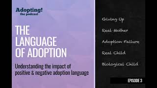 Using Positive Adoption Language: "Give Up A Baby" And Other Commonly Used Negative Adoption Expr...