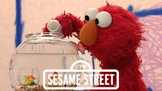 Sesame Street Episode 163 Ending My Version For Eddiekyteabcdefg12345678910