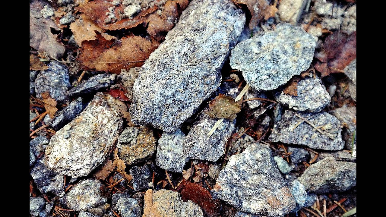 momente 2014/15, Foto: Annett Claußner, Musik: Steffan Claußner