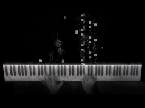 Arcade Fire And Owen Pallett Photograph