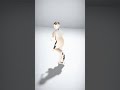 Luxx Rigged Character - AI Rigged 3D Character