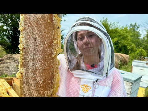 For $25…Why Would You Even Risk It? 🐝