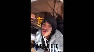 Pingrid É Real Veja Provas