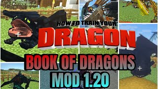 THIS MOD IS AMAZING! HTTYD BOOK OF DRAGONS MOD  #minecraft #fyp #howtotrainyourdragon #minecraftjava screenshot 2