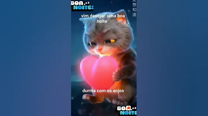 gato fofo