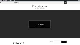 Echo Magazine Theme Installation and Demo Import