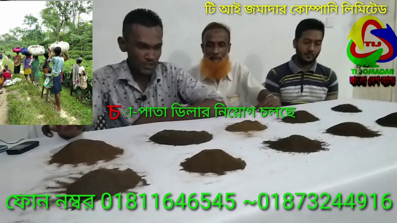 মাত্র 15 থেকে 20 হাজার টাকার ভিতরে চা পাতার বিজনেস করতে পারবেন ডিলার অথবা পাইকারি নিতে পারবেন TEA bu