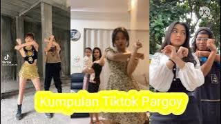 Kumpulan Tiktok - Goyang Pargoy (Random Video) Terbaru 2021