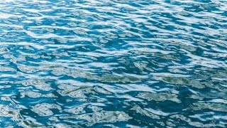 Eas Scenario 2 Zeo Nephew Pelletier 1 Channel Shutdown