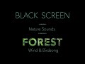 Forest Nature Sounds Birds Singing Black Screen- Relaxing Wind &amp; #birdsounds-Calm Sleeping Sound