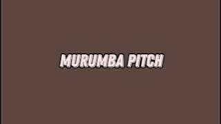 Murumba Pitch & Da Muziqal Chef   Obrigado  Audio ft  Kabza De Small