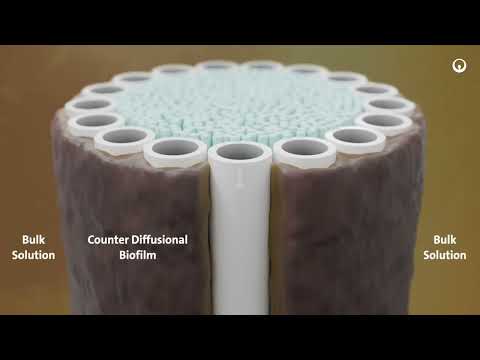 Explore ZeeLung Membrane Aerated Biofilm Reactor by Veolia - video from Water Technologies & Solutions